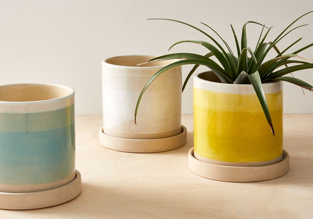 three ceramic planters from West Elm in white, turquoise, and yellow