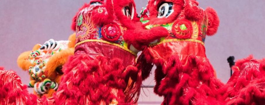 Celebrate the 2019 Lunar New Year