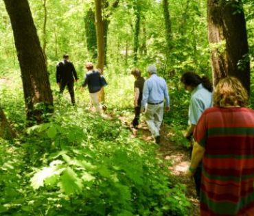 A Virtual Walk in the Park