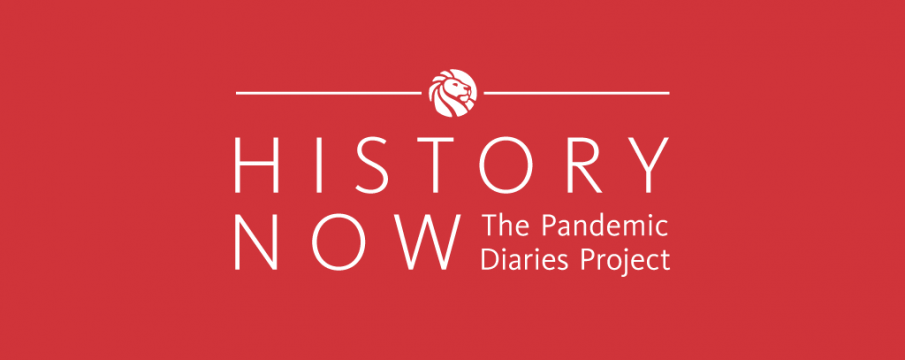 The Pandemic Diaries