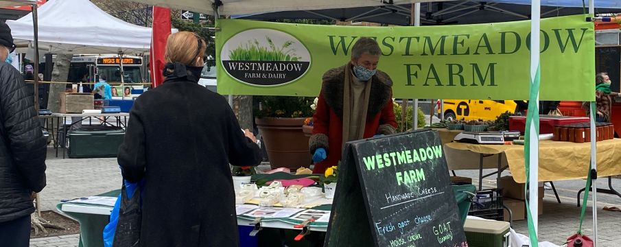 people shopping at the greenmarket