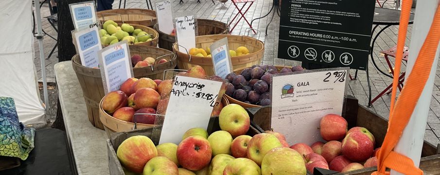 Get to Know More About GrowNYC's Greenmarket