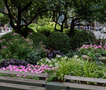 Spend Your Summer in Lincoln Square